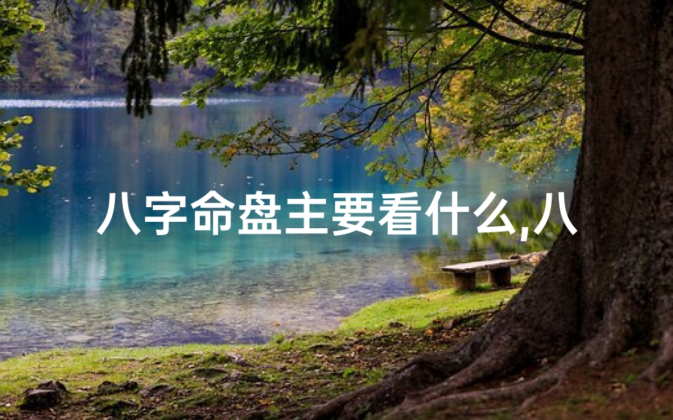 八字命盘主要看什么,八字命盘好坏如何精准判断?