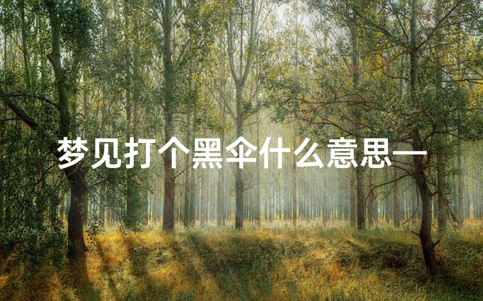 梦见打个黑伞什么意思—女人梦见自己打一把黑伞好吗