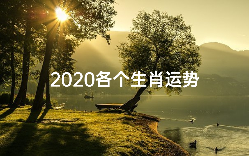 2020各个生肖运势