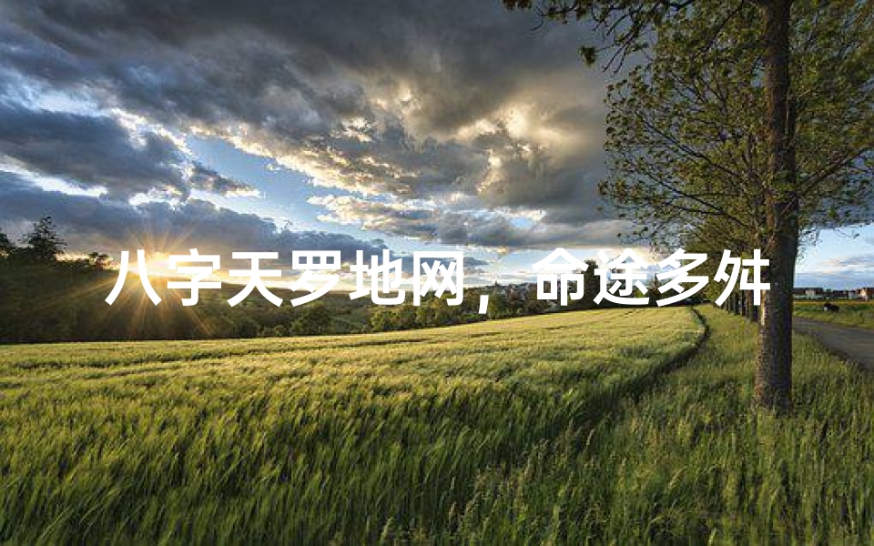 八字天罗地网,命途多舛?揭秘命运之谜
