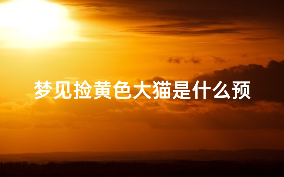 梦见捡黄色大猫是什么预兆_梦见捡了一只小黄猫