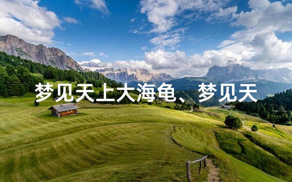 梦见天上大海龟、梦见天上大海龟在飞