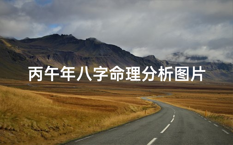 丙午年八字命理分析图片(出生丙午年七月初二子时生命理)