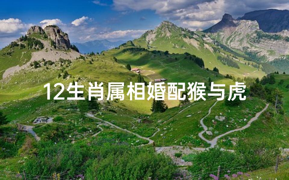 12生肖属相婚配猴与虎(十二生肖属相猴的最佳婚配,属猴的属相婚配表)