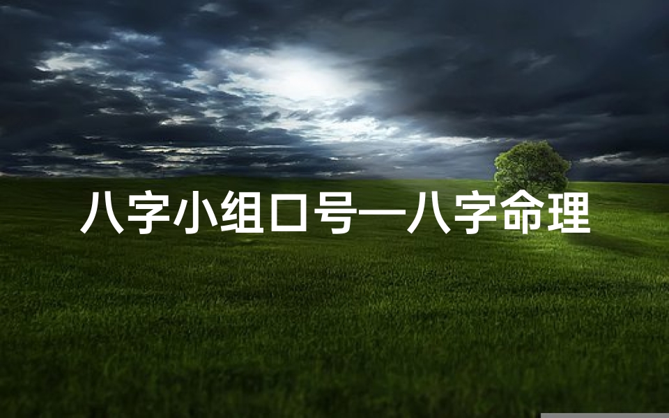 八字小组口号—八字命理团队名大全集:探寻命理之名的奥秘
