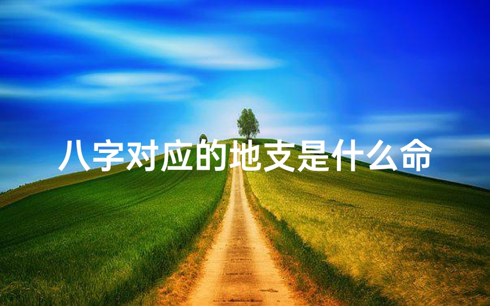 八字对应的地支是什么命、八字中地支代表什么