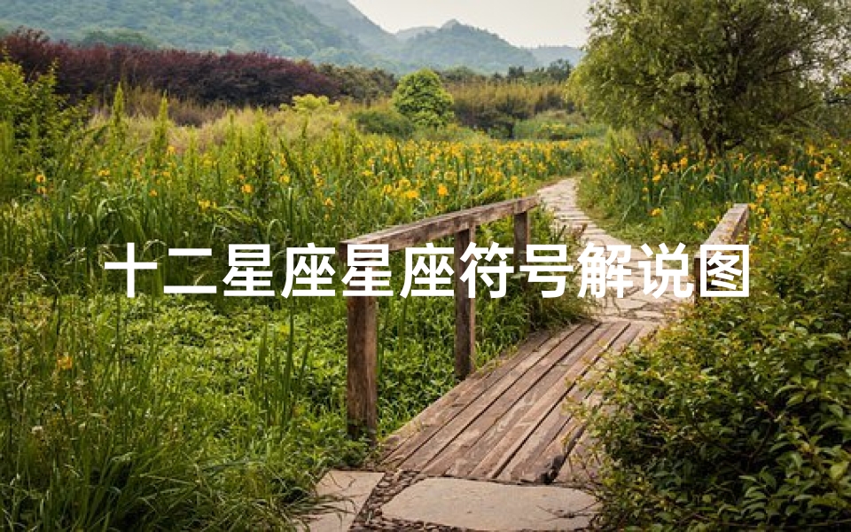 十二星座星座符号解说图(十二星座符号分别是什么 )