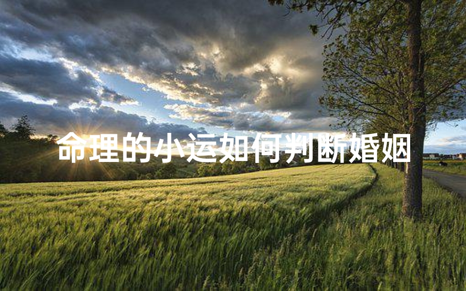 命理的小运如何判断婚姻(如何使用生辰八字看未来的婚姻状况 )