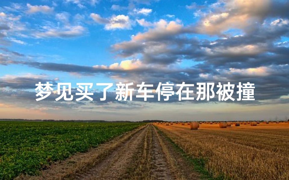 梦见买了新车停在那被撞了、梦见买新车又被撞坏了