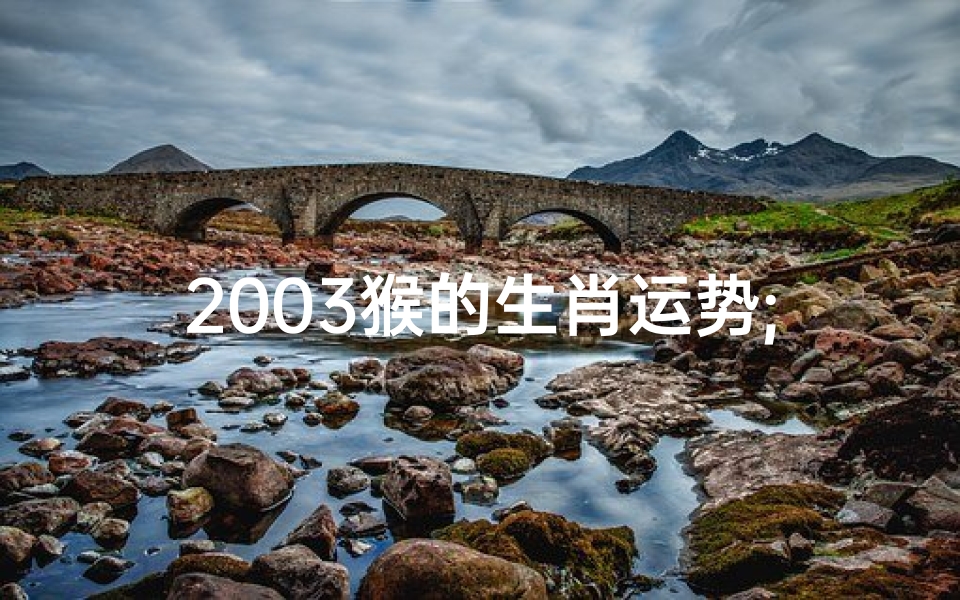 2003猴的生肖运势;2003年生肖运势