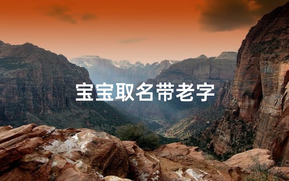 宝宝取名带老字