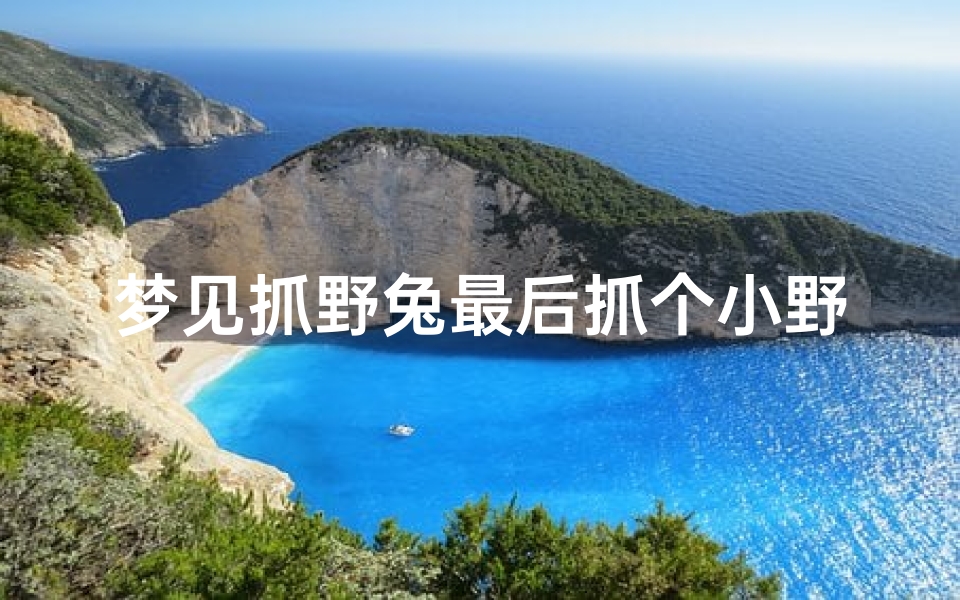 梦见抓野兔最后抓个小野猫