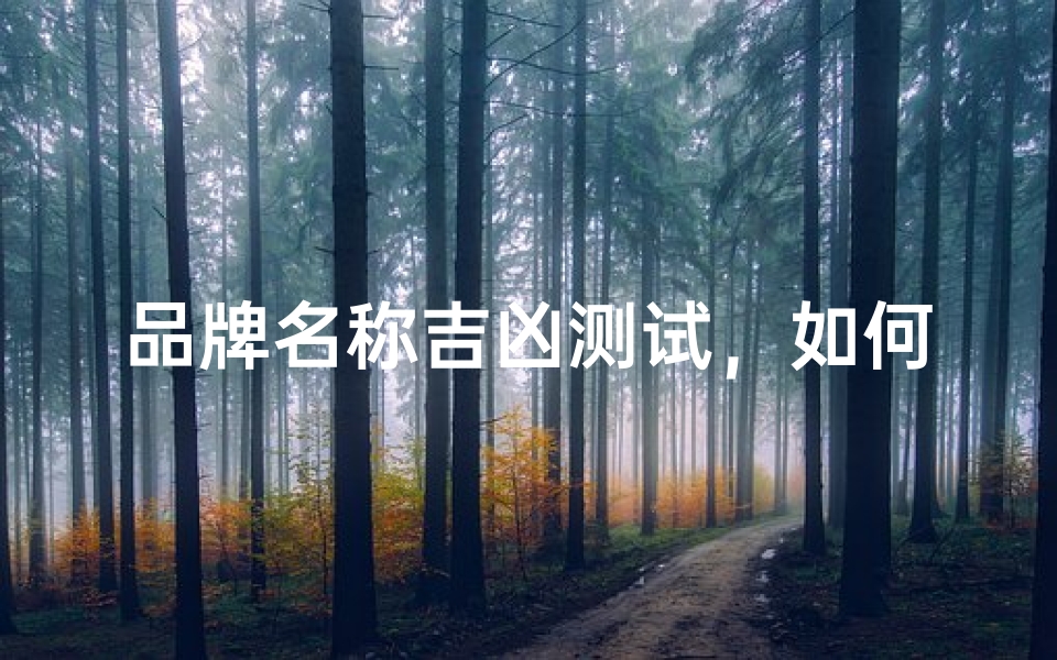 品牌名称吉凶测试,如何通过名字分析品牌运势