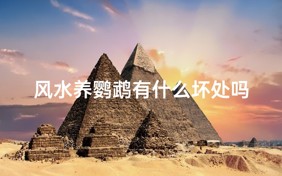 风水养鹦鹉有什么坏处吗—风水养鹦鹉,小心这些坏处
