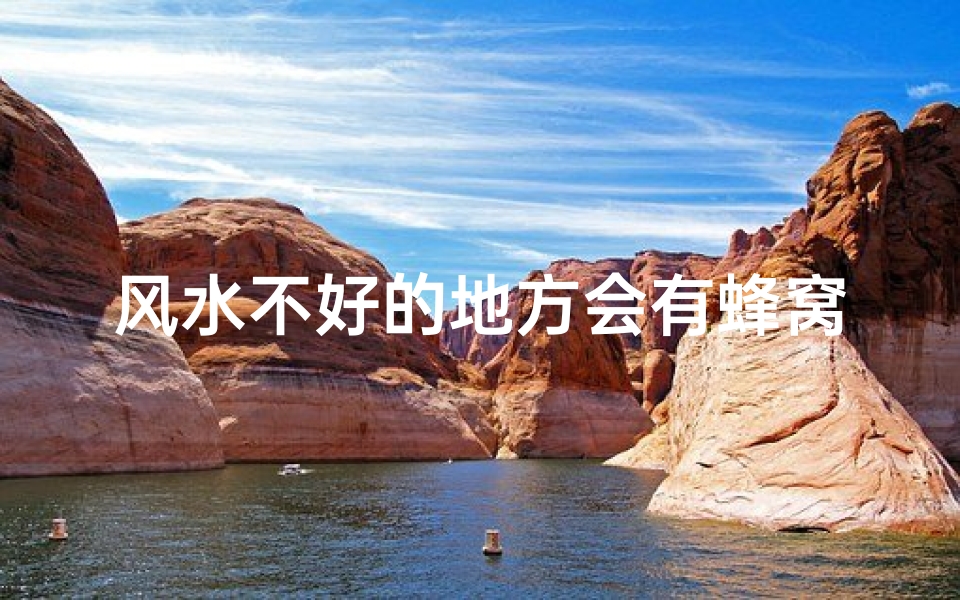 风水不好的地方会有蜂窝吗(风水不佳之地,蜂窝聚集之谜?)
