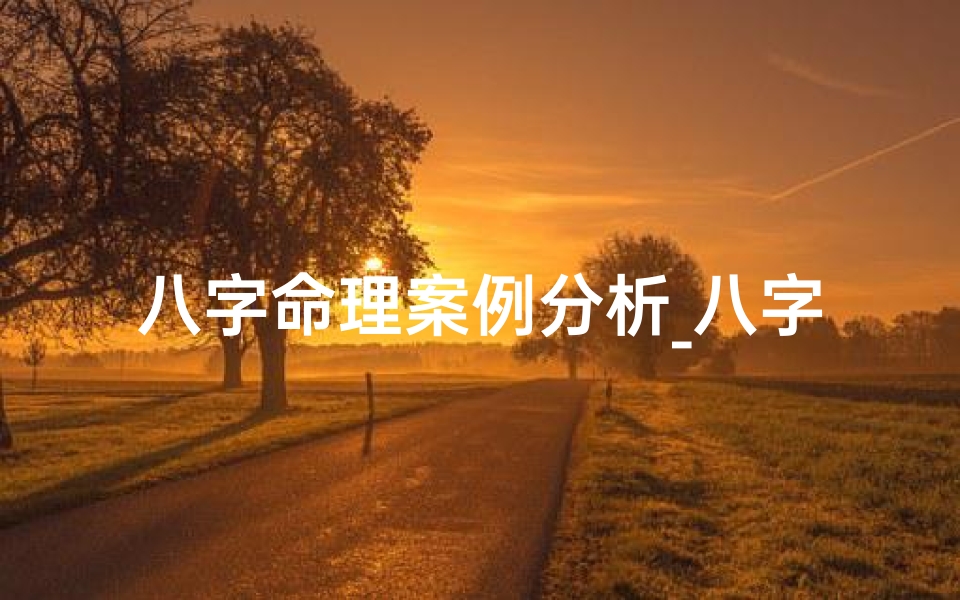 八字命理案例分析_八字命理案例分析:揭秘命运之谜