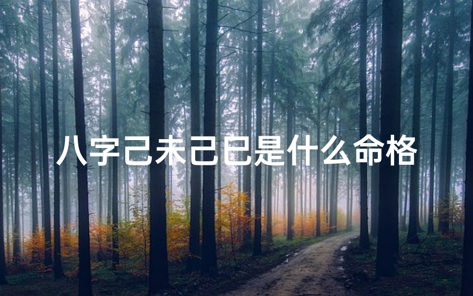 八字己未己巳是什么命格,己未什么意思?
