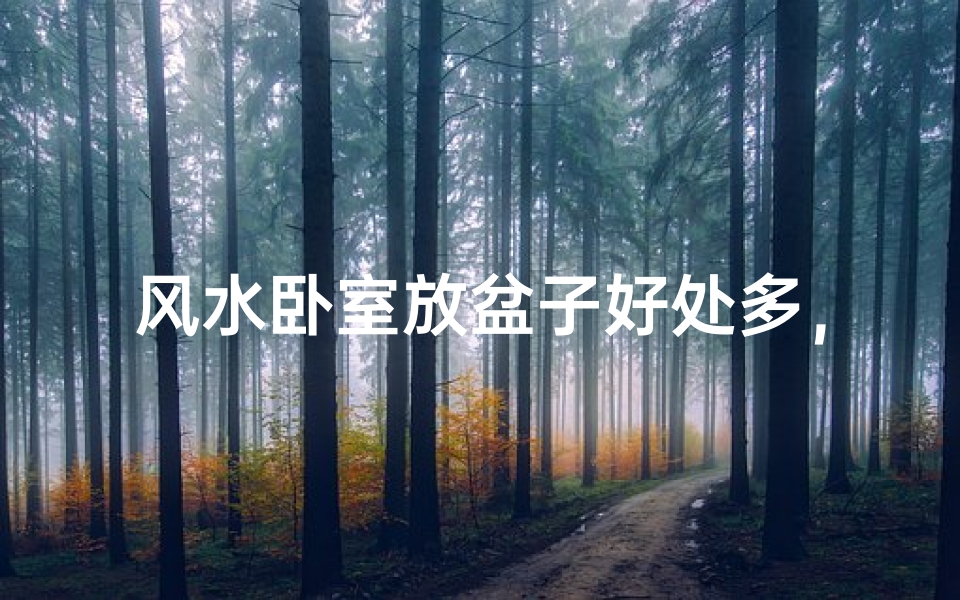 风水卧室放盆子好处多,助眠养生两不误