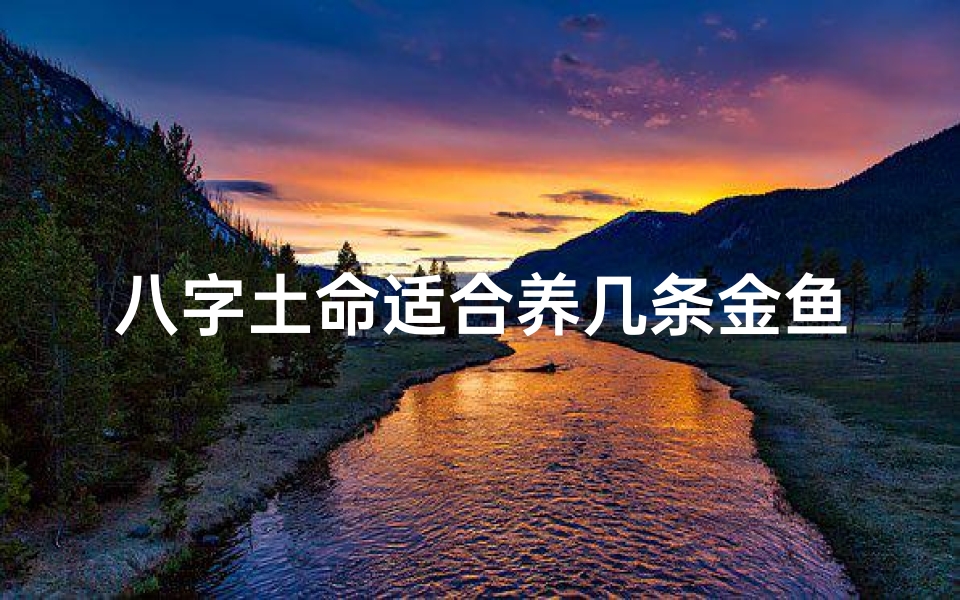 八字土命适合养几条金鱼-八字土命宜养金鱼,几条最佳?