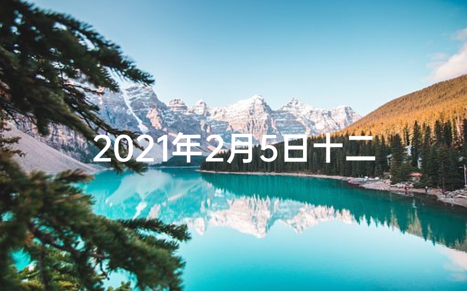2021年2月5日十二生肖运程—2月5日生肖运势揭秘:黄历吉日好运来