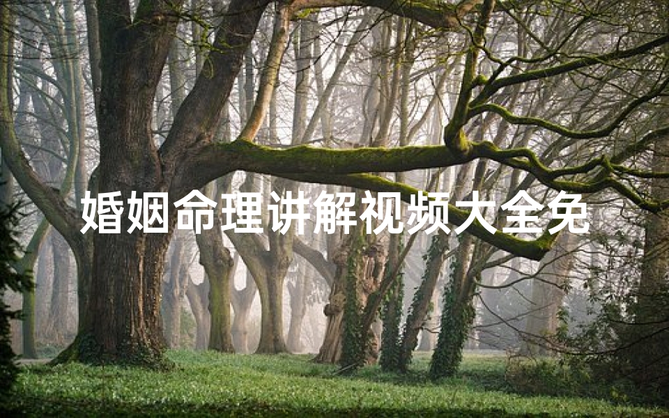 婚姻命理讲解视频大全免费(免费算我有几次婚姻八字命理,测一测我的八字有几次婚姻才能到老)