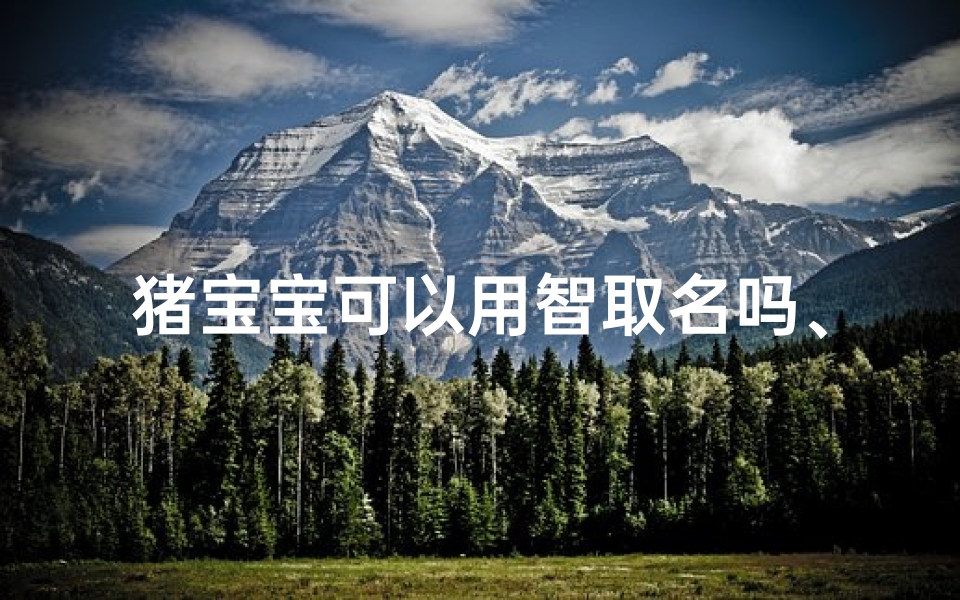猪宝宝可以用智取名吗、猪宝宝名字禁忌