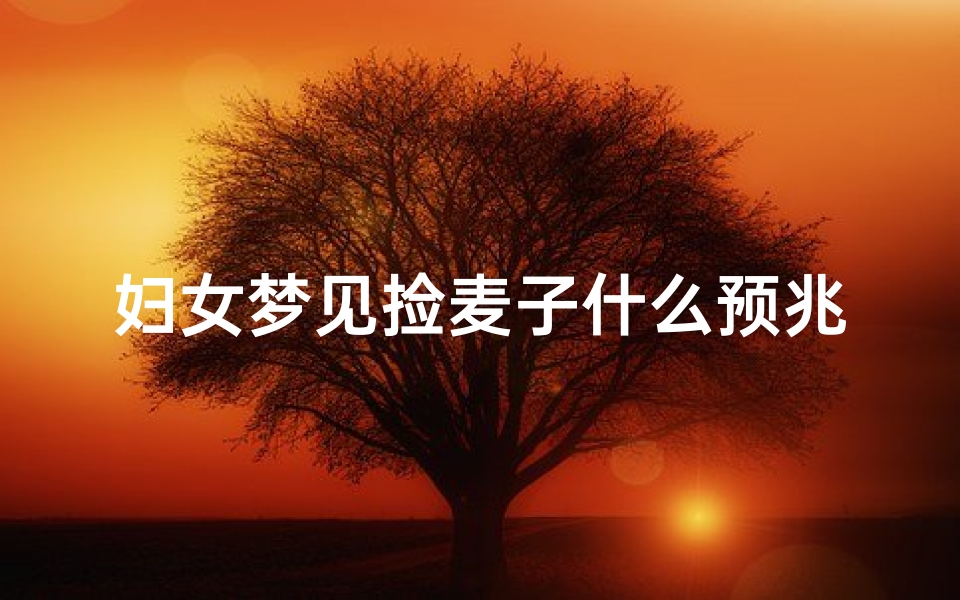 妇女梦见捡麦子什么预兆—女人梦见在地里捡麦子