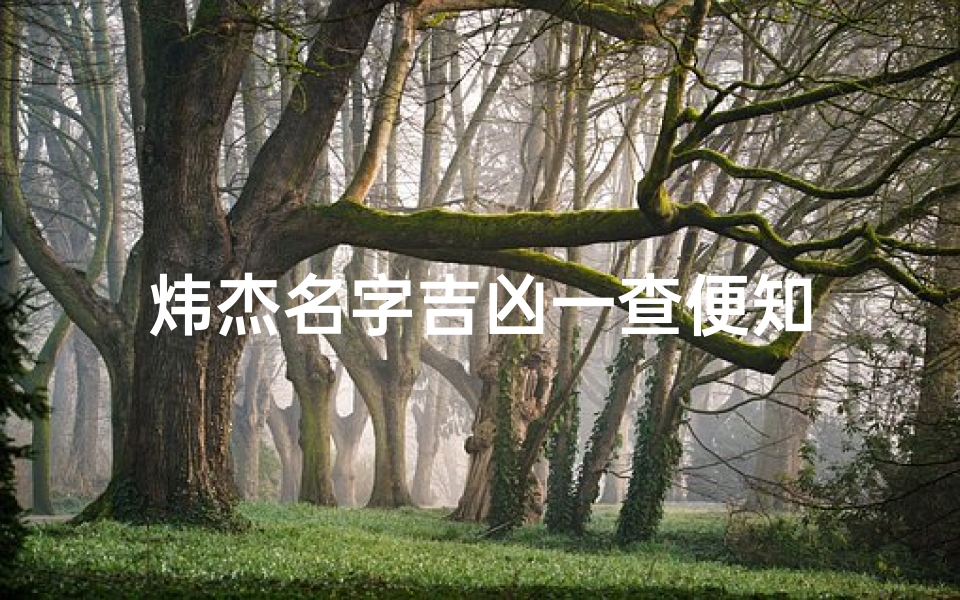炜杰名字吉凶一查便知