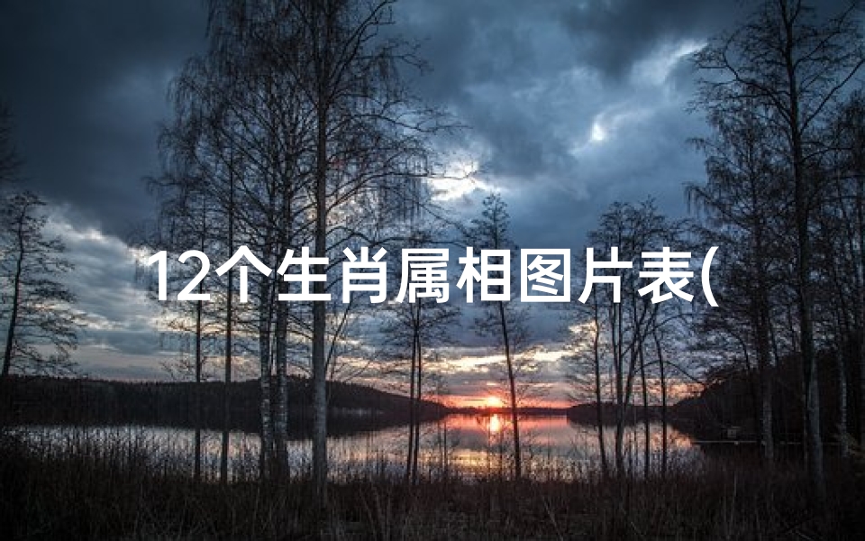 12个生肖属相图片表(十二生肖图片表,怎么画十二生肖的图片)