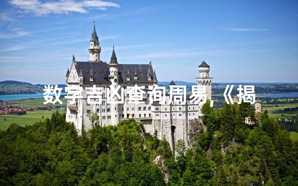 数字吉凶查询周易,《揭秘数字7763吉凶:运势解析与启示》