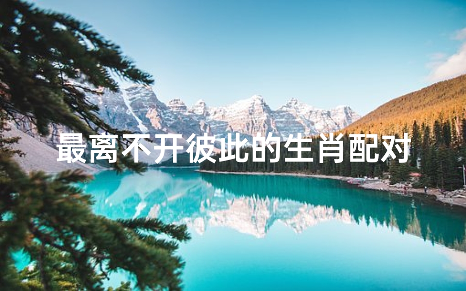 最离不开彼此的生肖配对表(谁最离不开属龙女)
