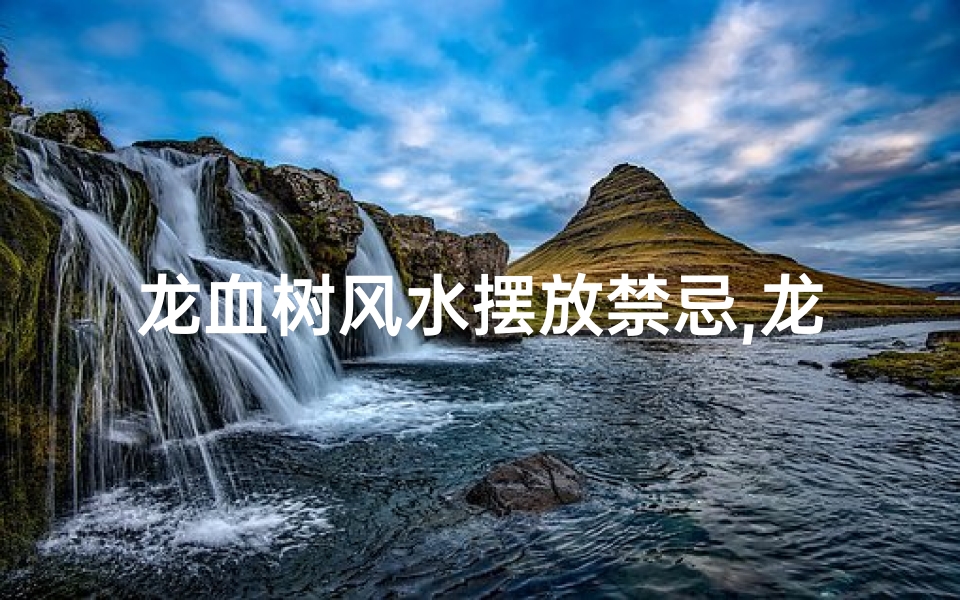 龙血树风水摆放禁忌,龙血树风水影响有多大?揭秘家居风水秘籍
