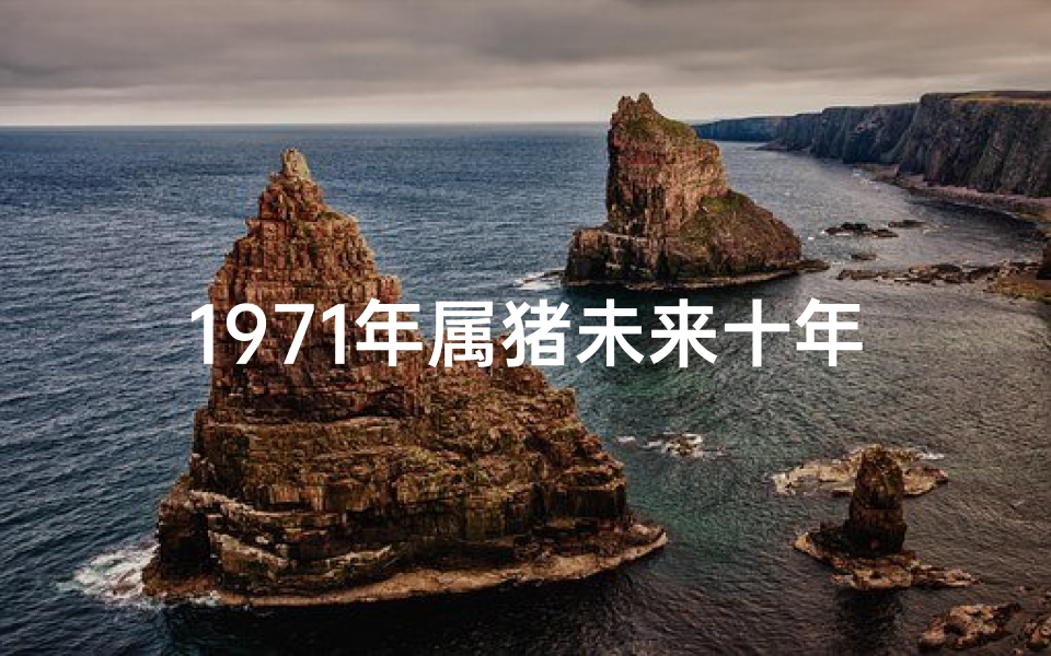 1971年属猪未来十年运势-《1971年猪生肖2025运势揭秘:运势大解析》