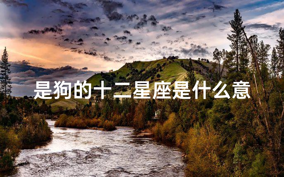 是狗的十二星座是什么意思(属狗十二星座什么性格)