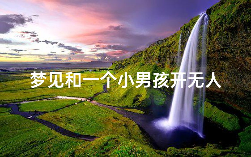 梦见和一个小男孩开无人机,梦到开无人驾驶车