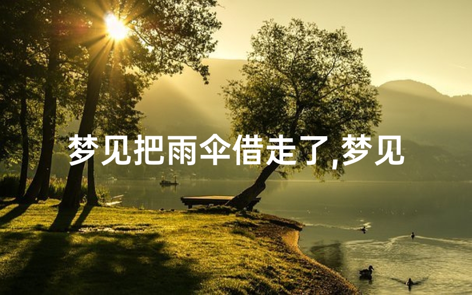 梦见把雨伞借走了,梦见下雨借伞,伞是坏的
