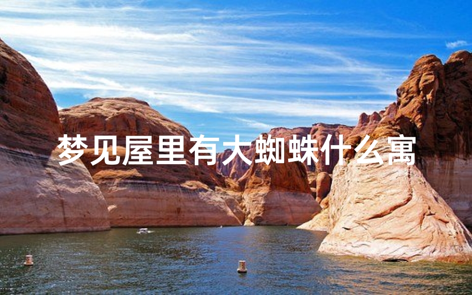 梦见屋里有大蜘蛛什么寓意,梦到屋里有一张巨大的蜘蛛网