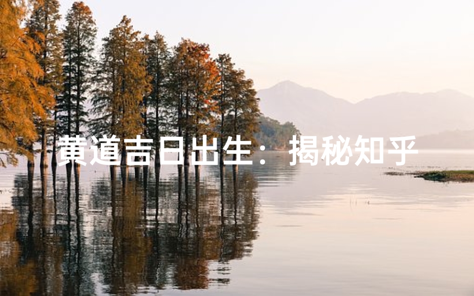黄道吉日出生:揭秘知乎上的幸运儿