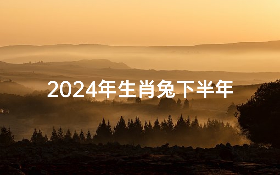 2024年生肖兔下半年运势