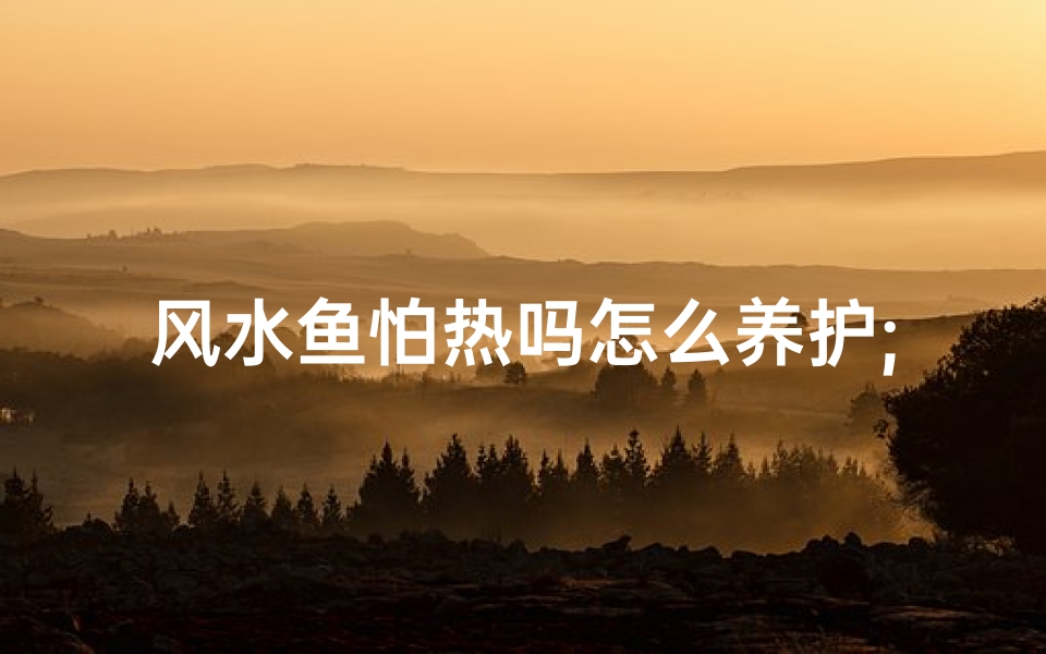 风水鱼怕热吗怎么养护;风水鱼怕热养护攻略:夏日清凉之道