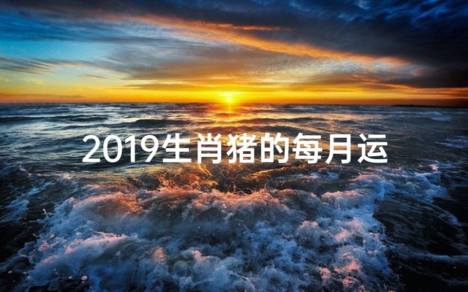 2019生肖猪的每月运势,2019猪年运势:财运亨通,福星高照