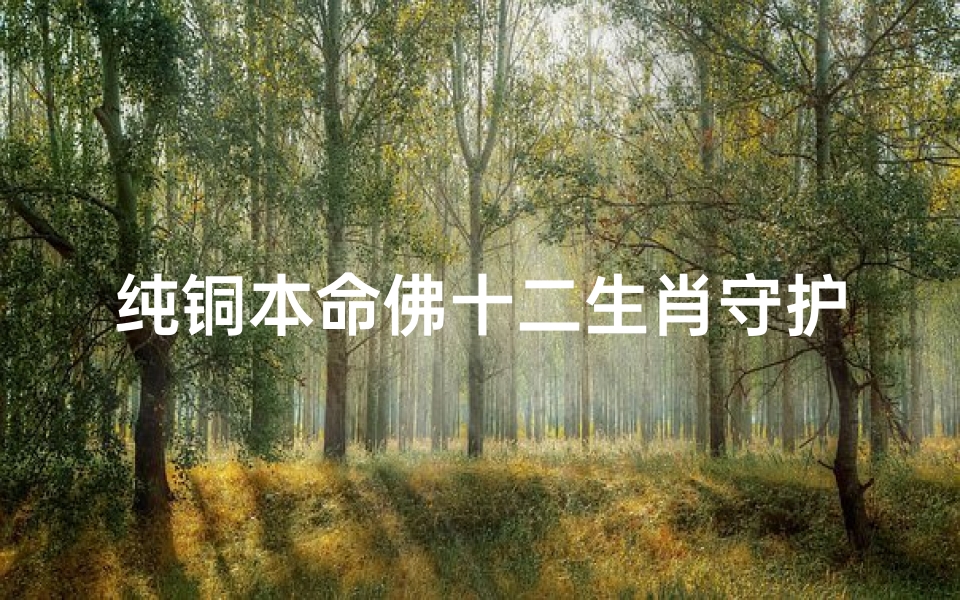 纯铜本命佛十二生肖守护神(十二生肖守护神是什么神十二生肖守护神本命佛)