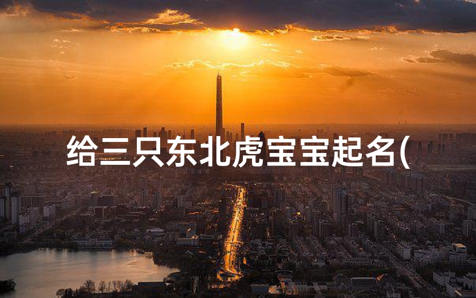 给三只东北虎宝宝起名(传奇游戏名起名)