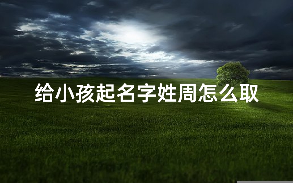 给小孩起名字姓周怎么取(给小孩起名字,姓周)
