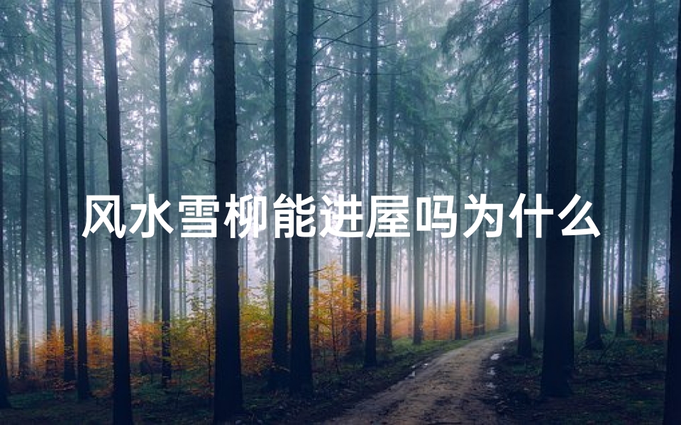 风水雪柳能进屋吗为什么,风水雪柳能进屋?揭秘家居风水的奥秘
