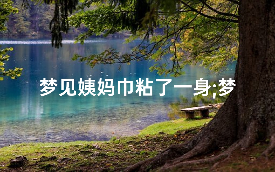 梦见姨妈巾粘了一身;梦见姨妈巾粘了一身大便