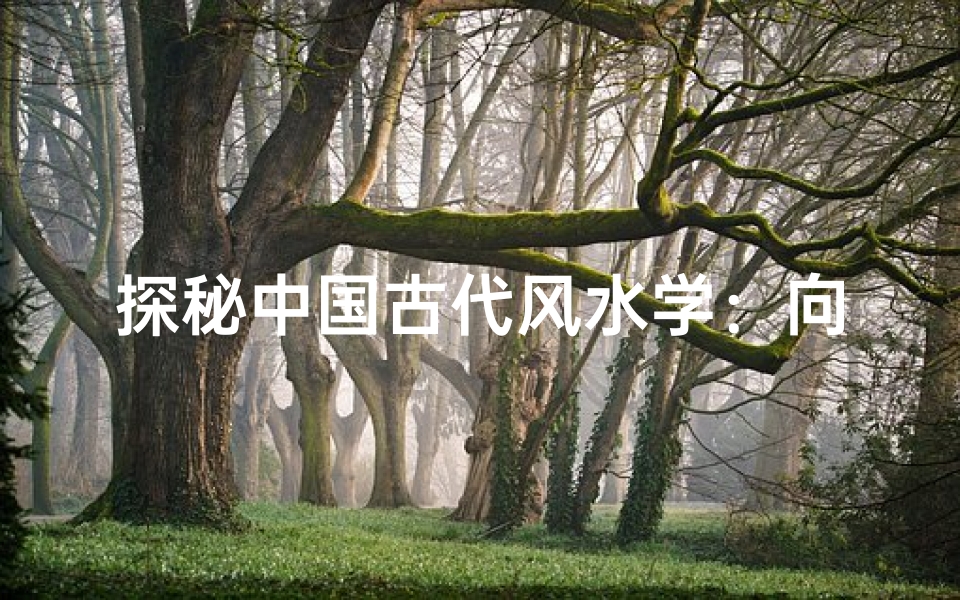 探秘中国古代风水学:向往的智慧之路