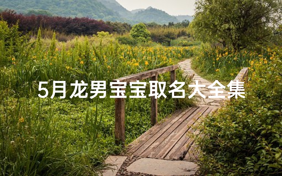 5月龙男宝宝取名大全集(《五月龙宝宝:为龙男宝宝精选名字大全》)