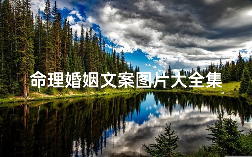 命理婚姻文案图片大全集(谁能为我解释一下我的命格)