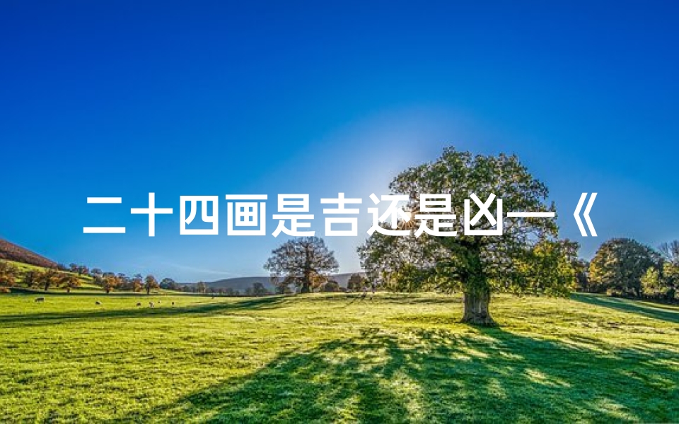二十四画是吉还是凶—《二十四画文字吉凶揭秘:图解命运奥秘》